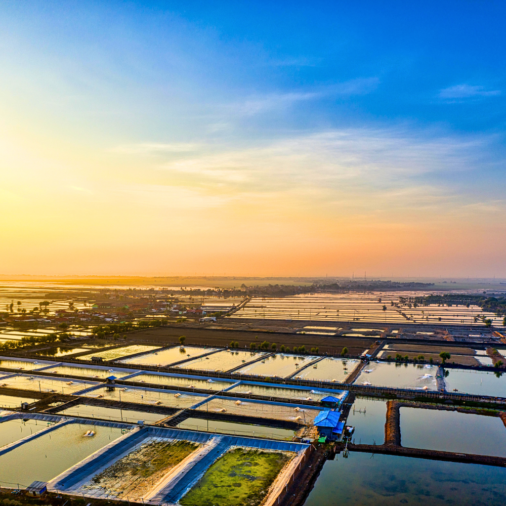 Aquaculture & Landscaping​
